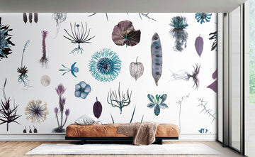 Cabinet of Natural Curiosities (psycho)